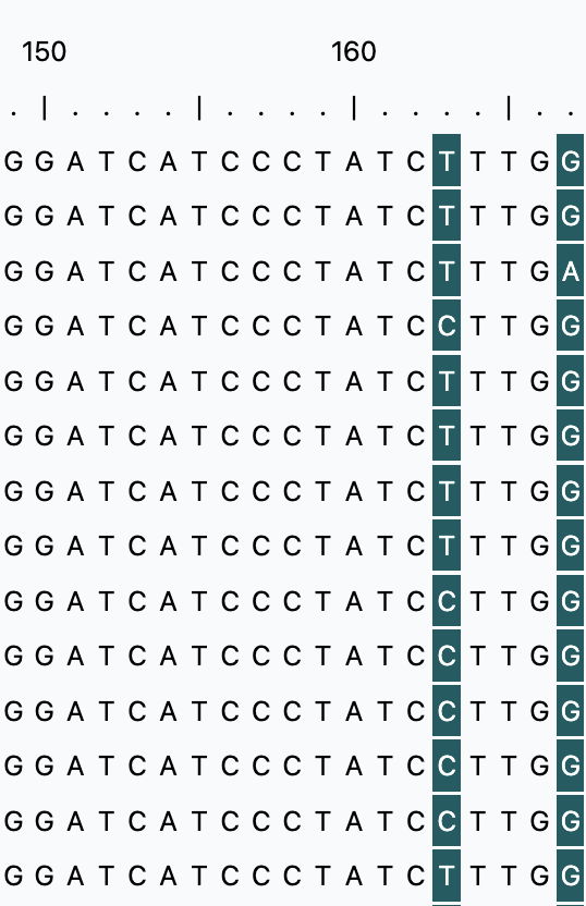 View sequence alignments